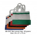Sidestripe Landscape Non-woven Bag